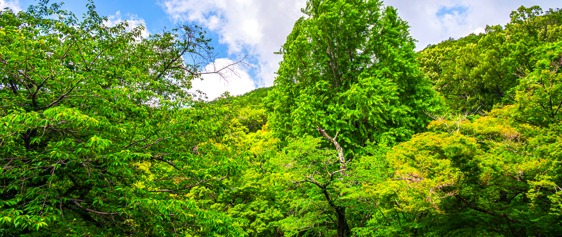 日栄陸運株式会社