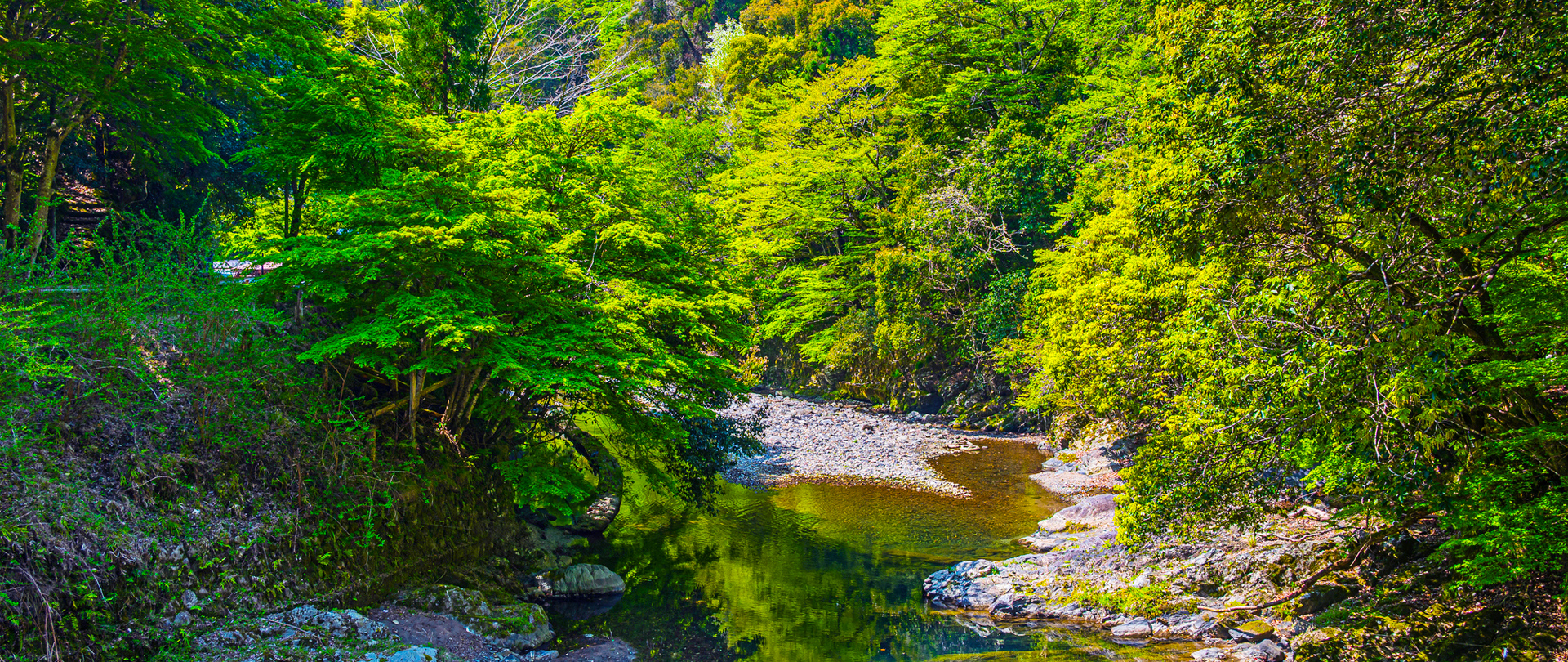 日栄陸運株式会社