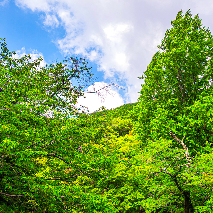 日栄陸運株式会社