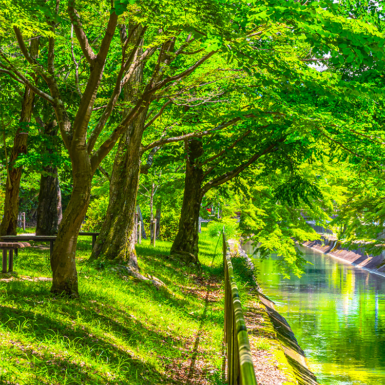 日栄陸運株式会社
