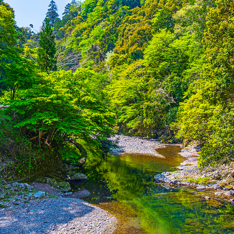 日栄陸運株式会社